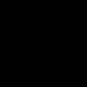 Meet your Posher, Paige